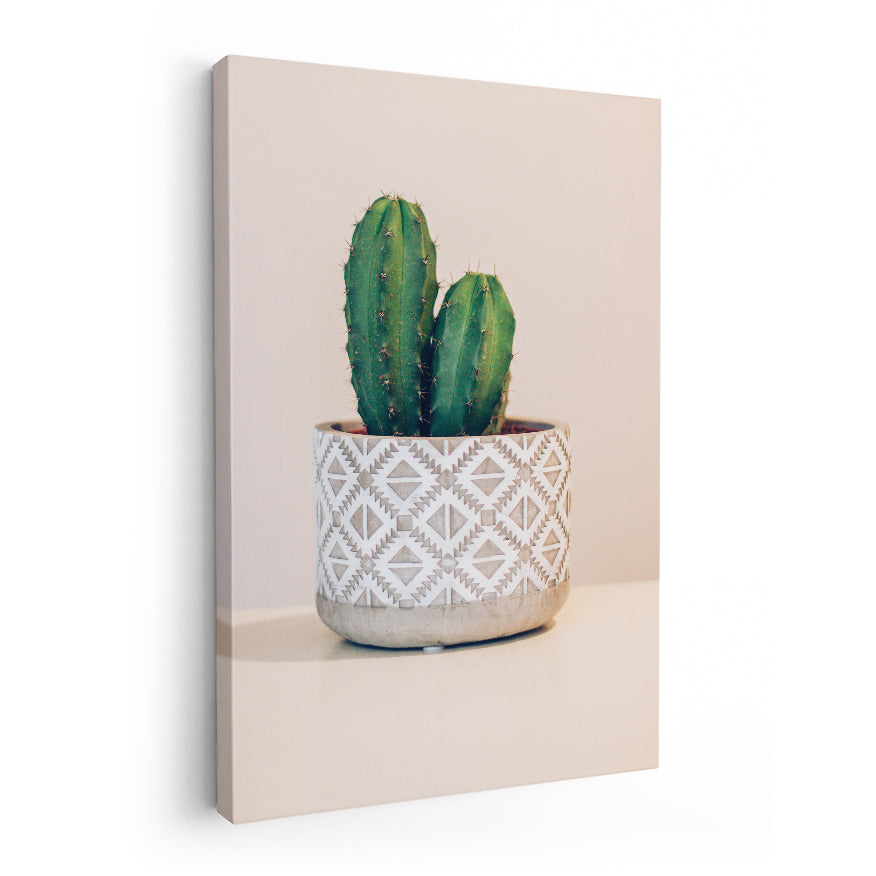 Cactus Cresta