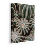 25502988075174