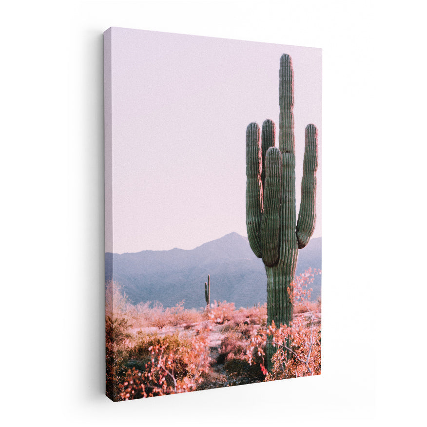 Saguaro