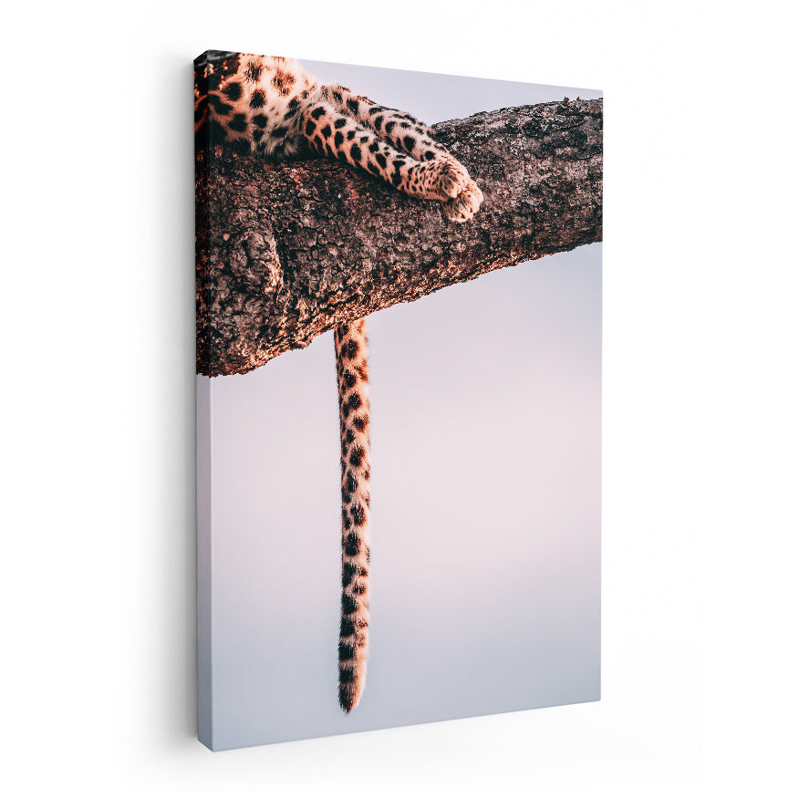 Leopardo