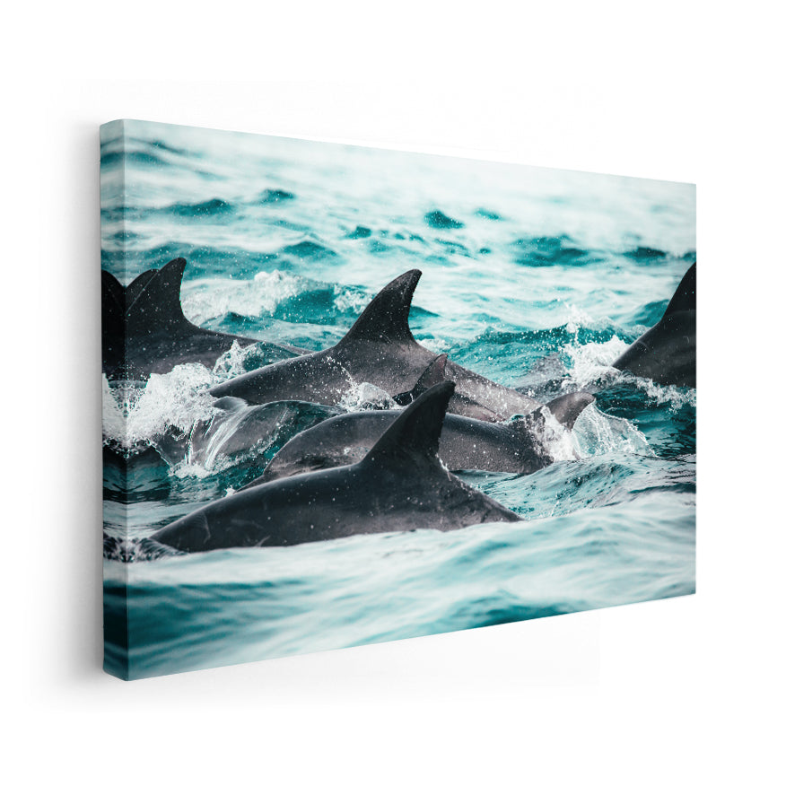 Lomos de Delfines