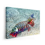 25798385238182