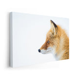 25756041380006