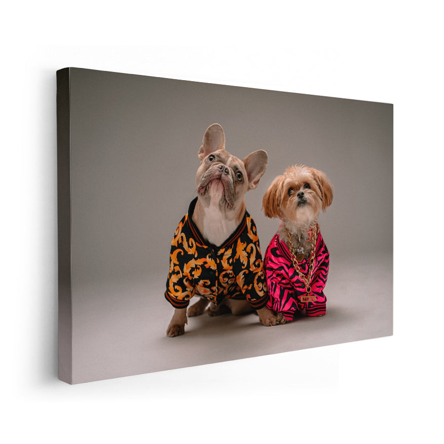 Perros con Camisa