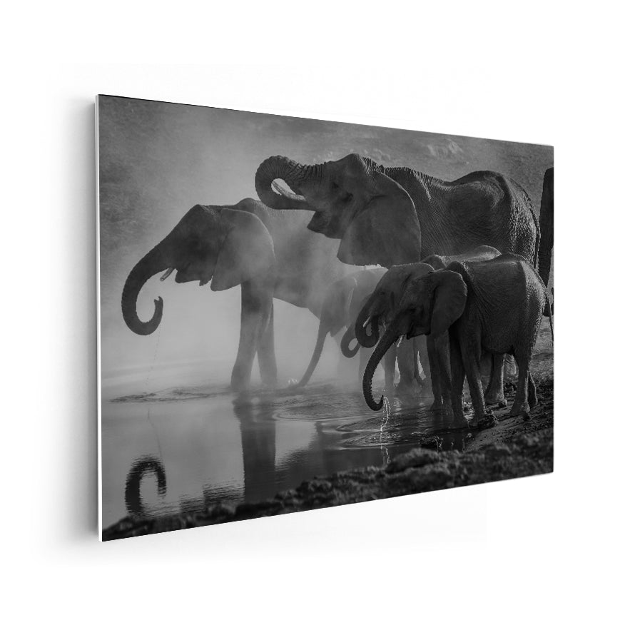 Elefantes en el Abrevadero