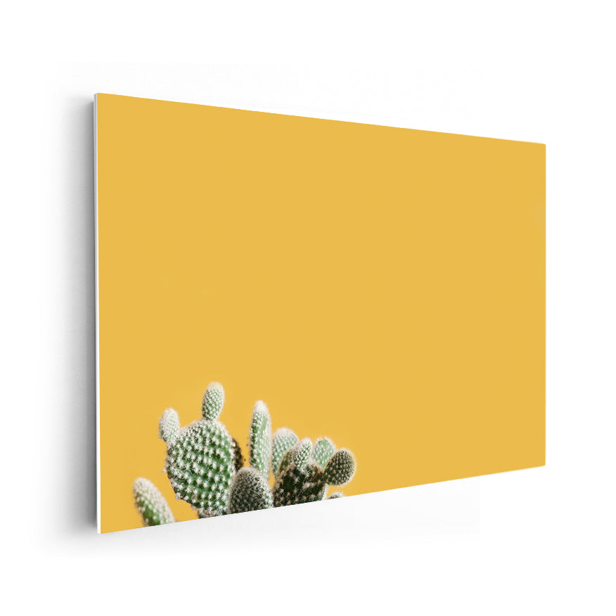 Nopal