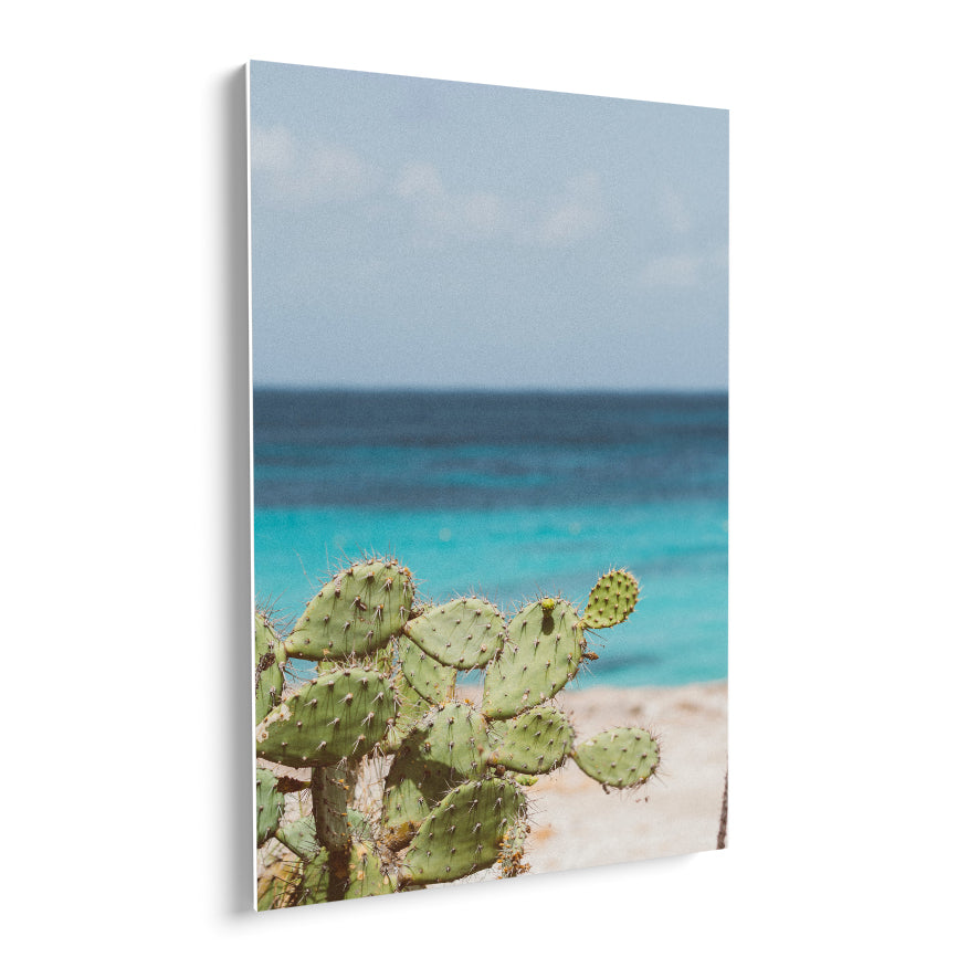 Nopal en la Playa