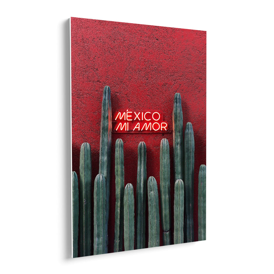 Cactus Ordenador