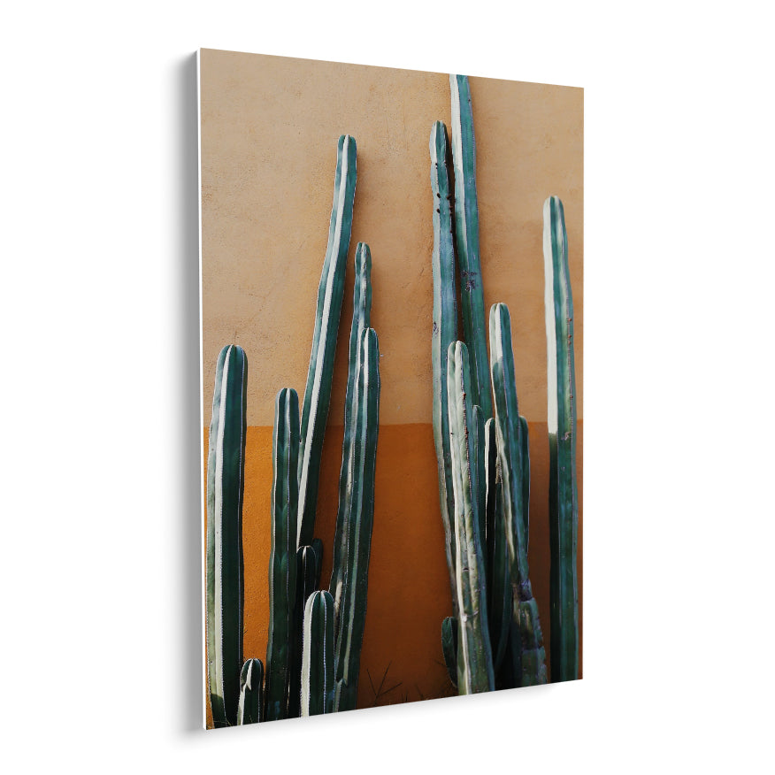 Cactus de Ordenador