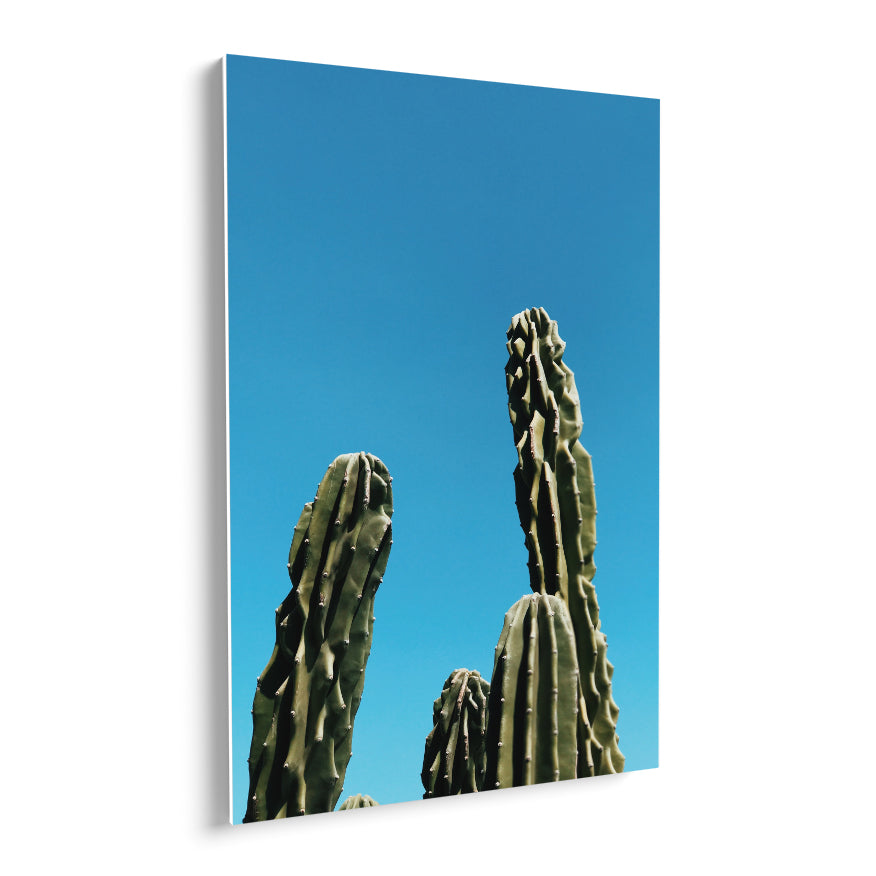 Cactus de Ordenador