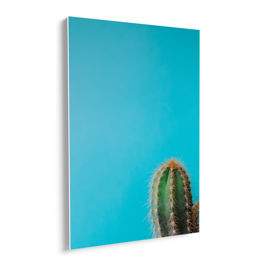 Saguaro