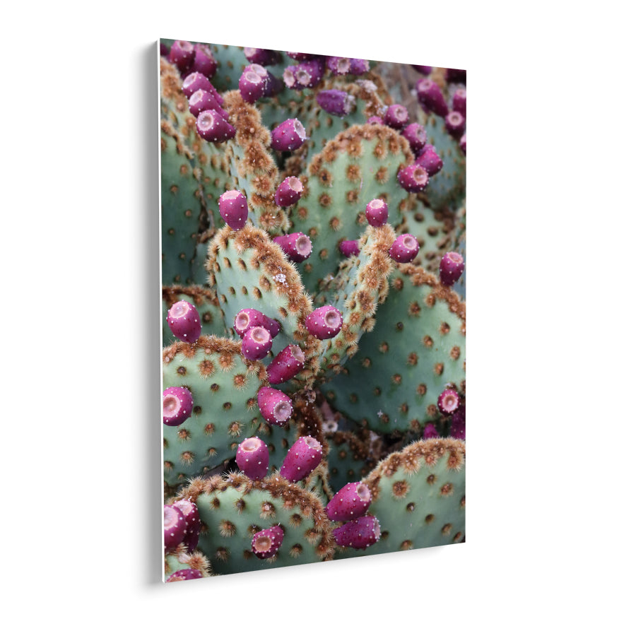 Nopales con Fruto