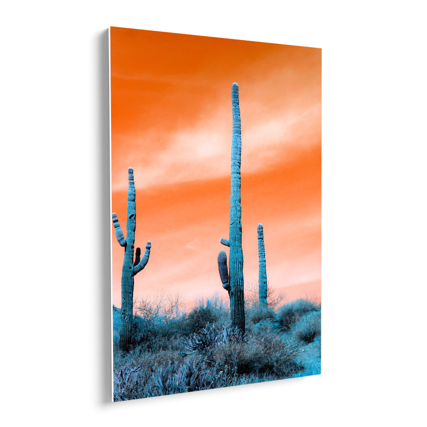Saguaro al Atardecer