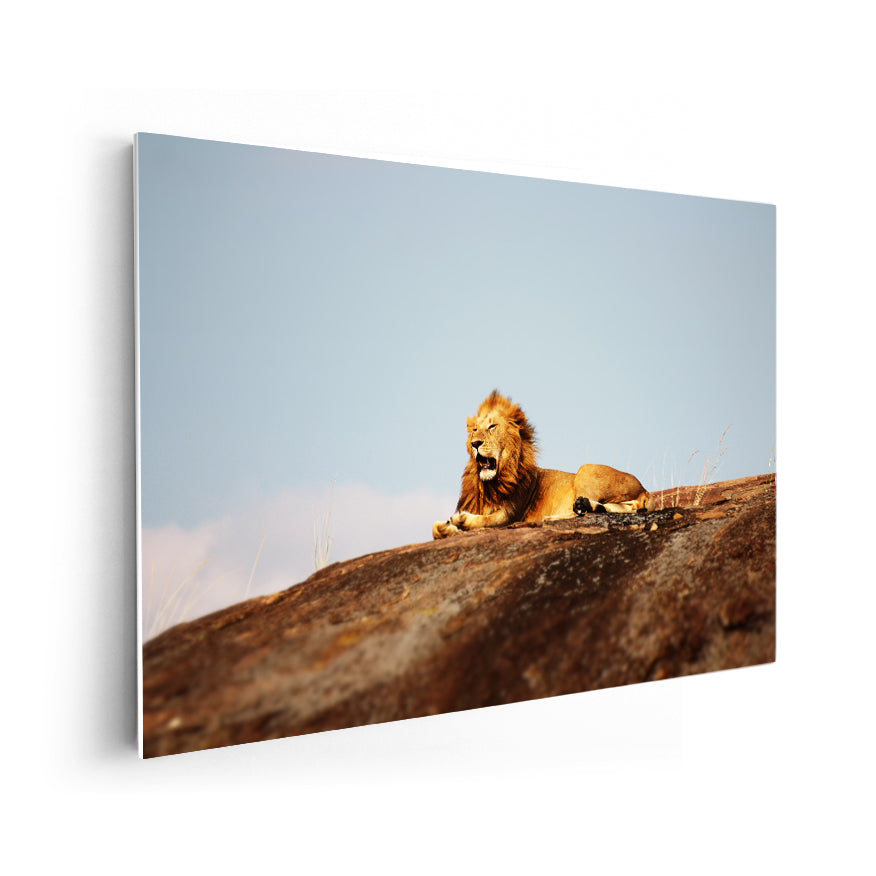 León en la Roca