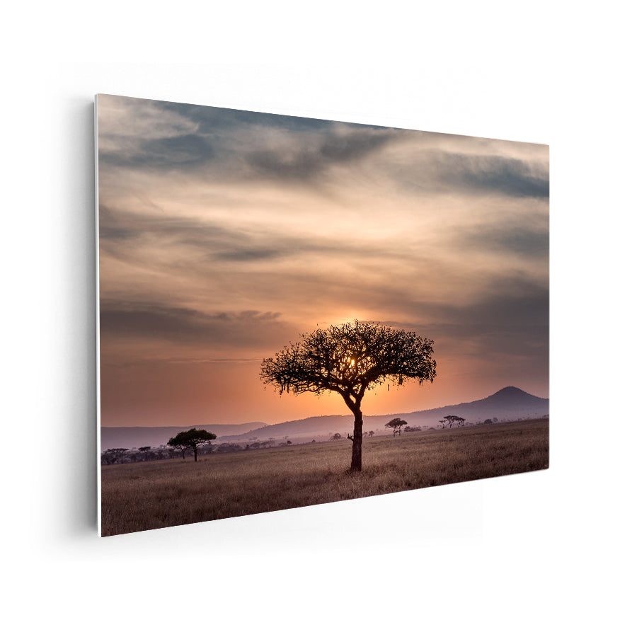 Silueta de Árbol