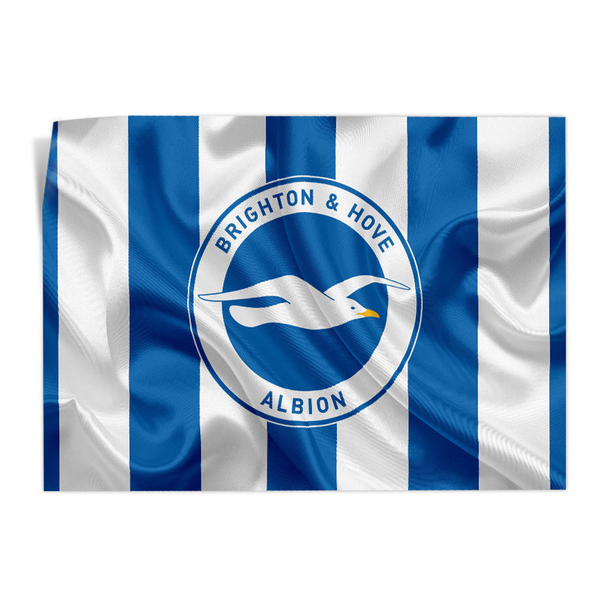 Brighton & Hove Albion Football Club