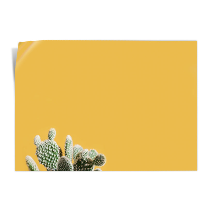 Nopal