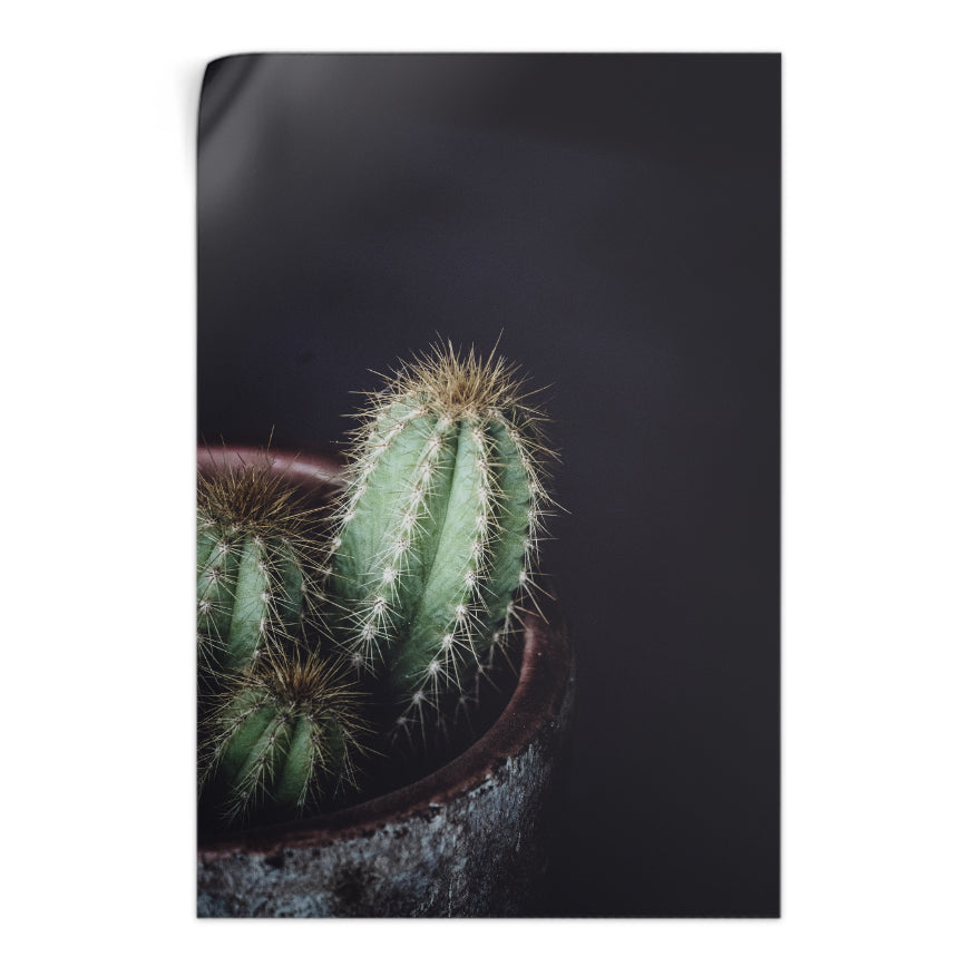 Cactus Candelabro