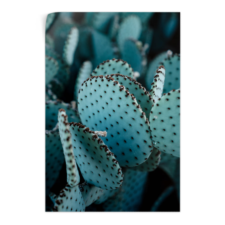 Nopales