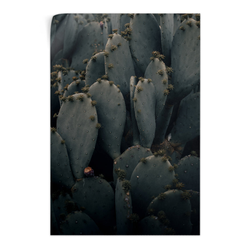 Nopales y sus Retoños