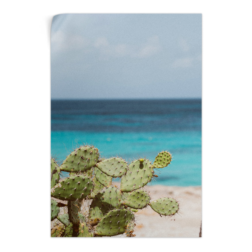 Nopal en la Playa