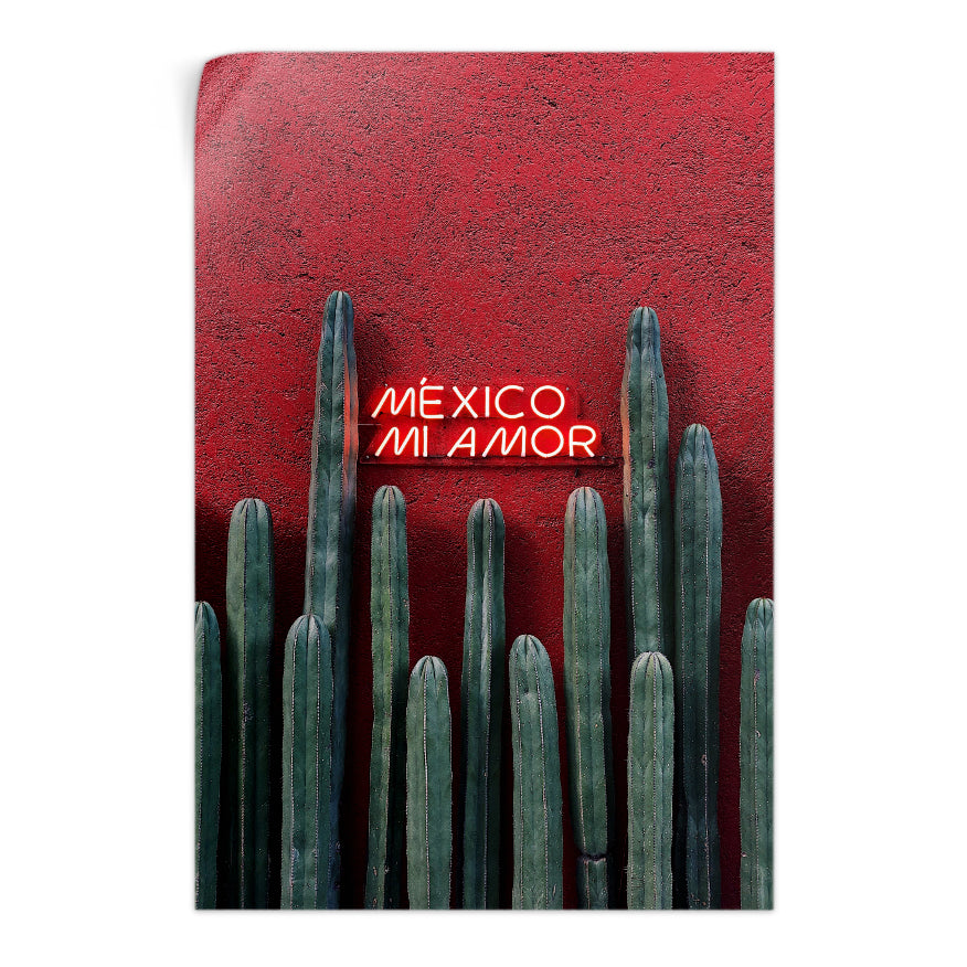 Cactus Ordenador