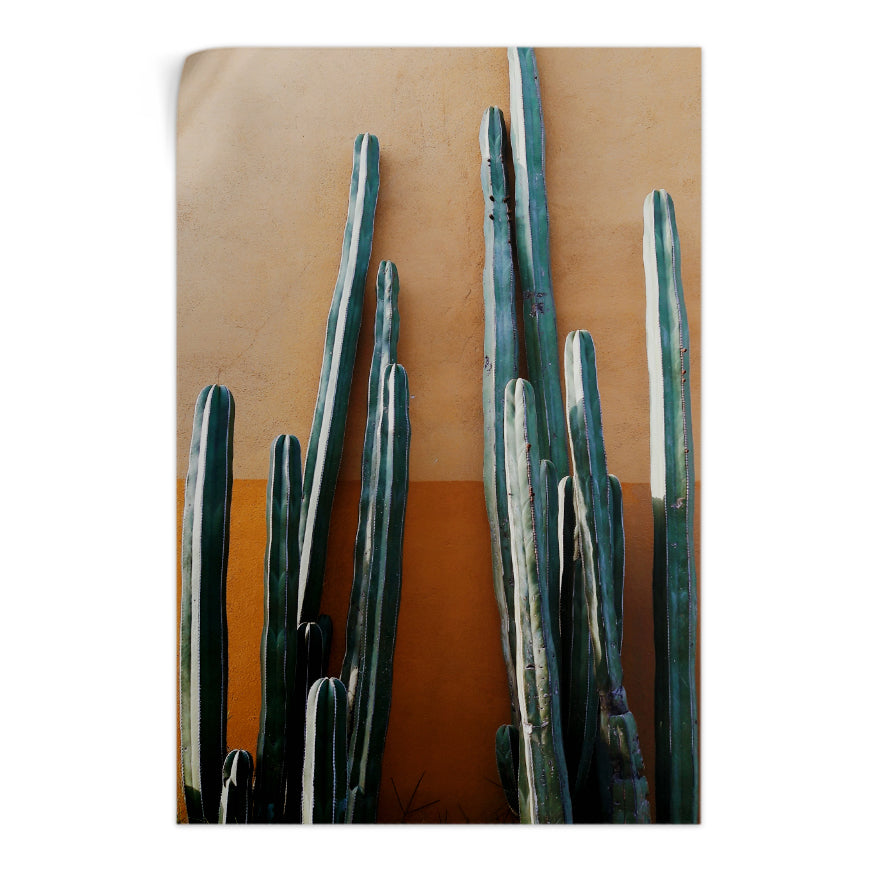 Cactus de Ordenador