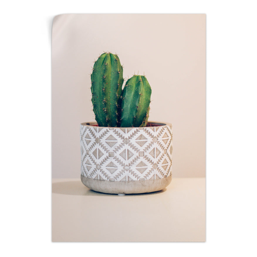 Cactus Cresta