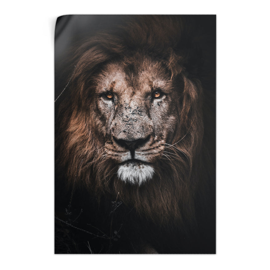 León
