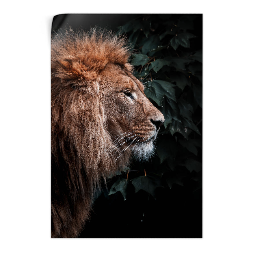 León
