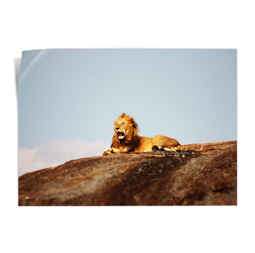 León en la Roca