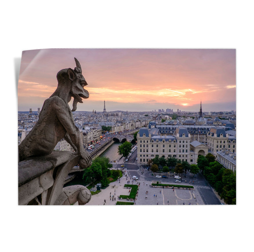 Vista desde Notre Dame