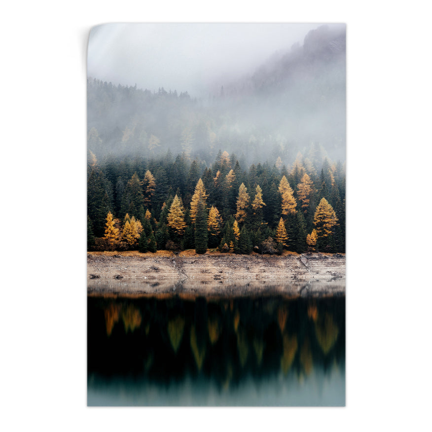 El Reflejo de los Pinos